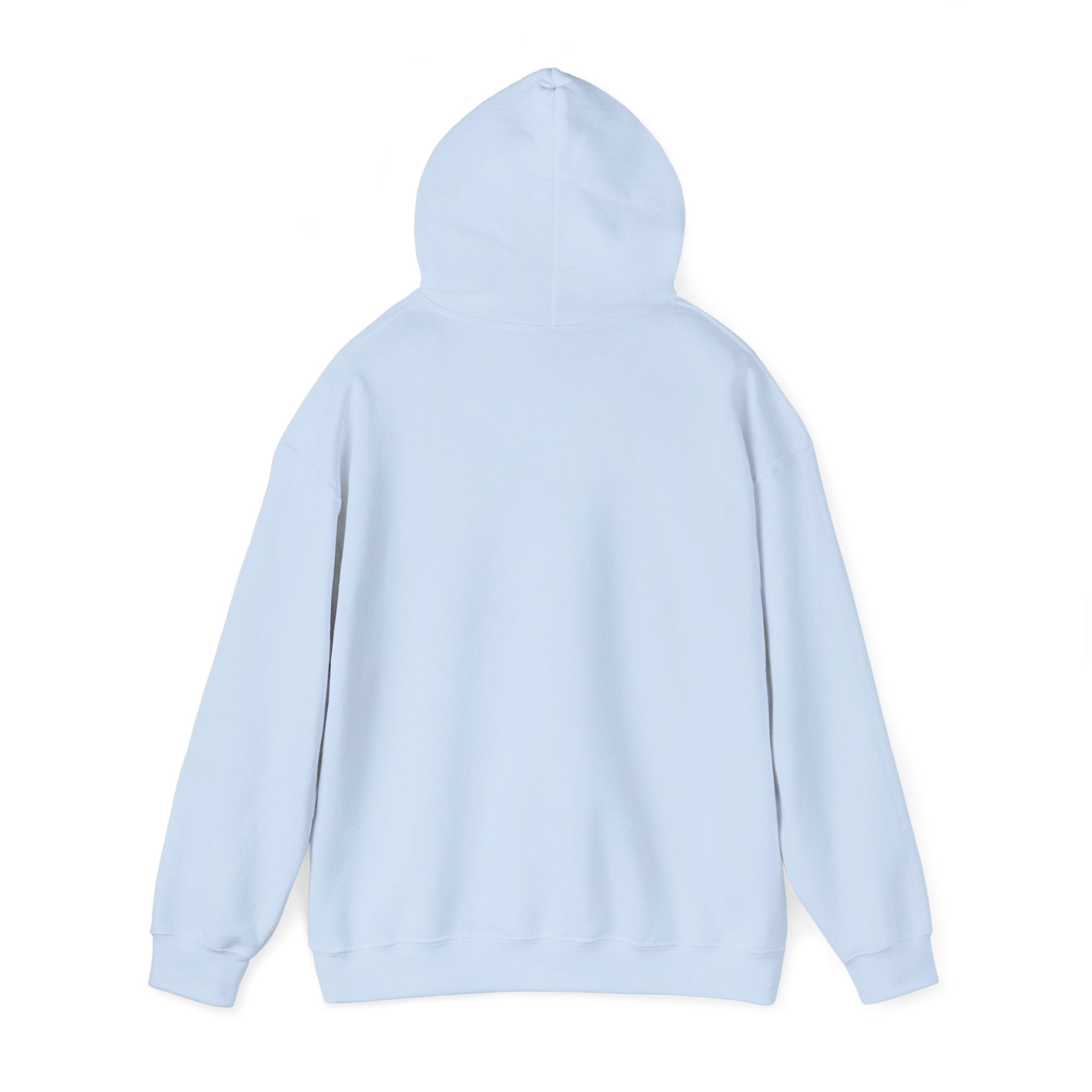 Golden Retriever Hoodie – "I Met You 5 Seconds Ago and I Would Die for You"
