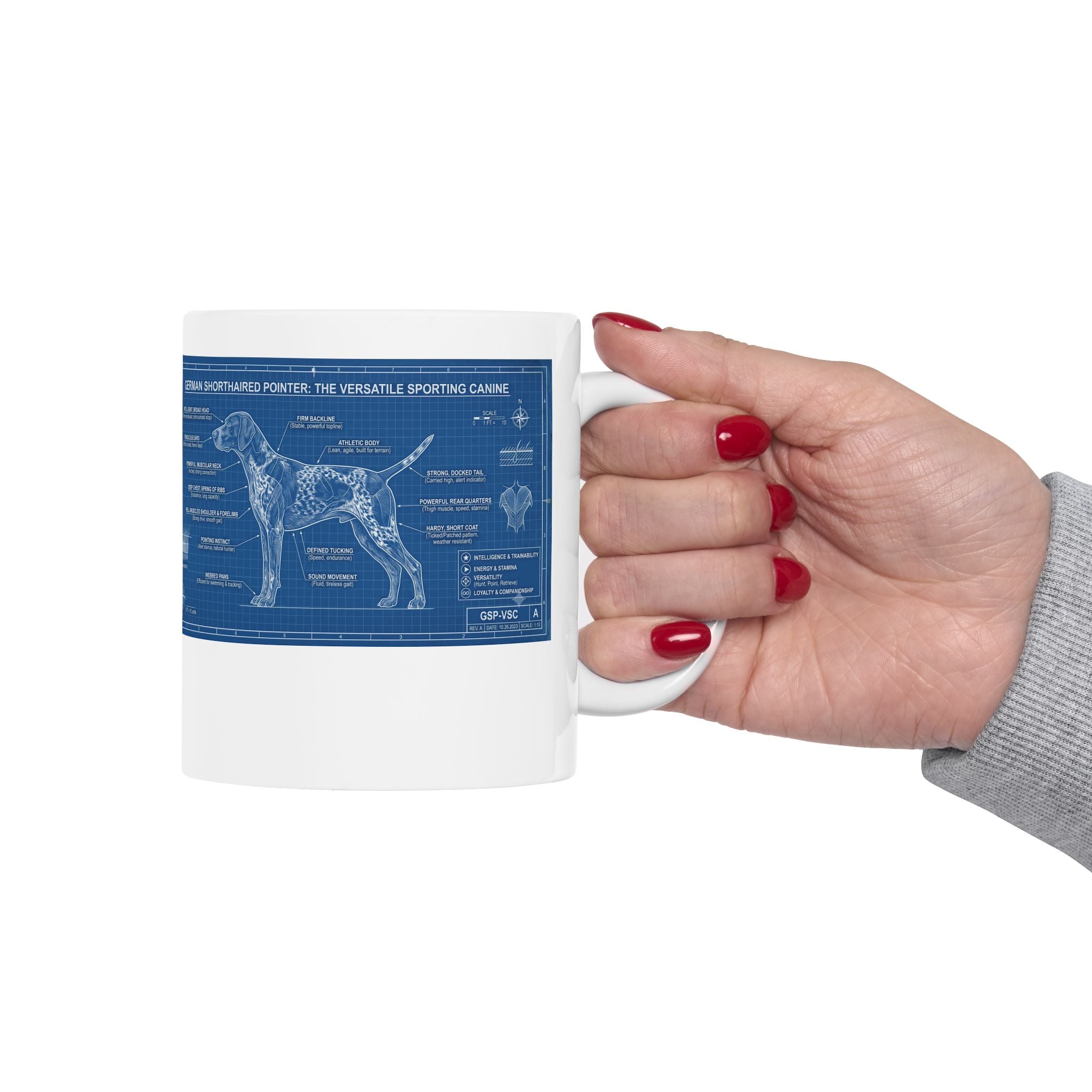 German Shorthaired Pointer Blueprint Ceramic Mug (11oz, 15oz)